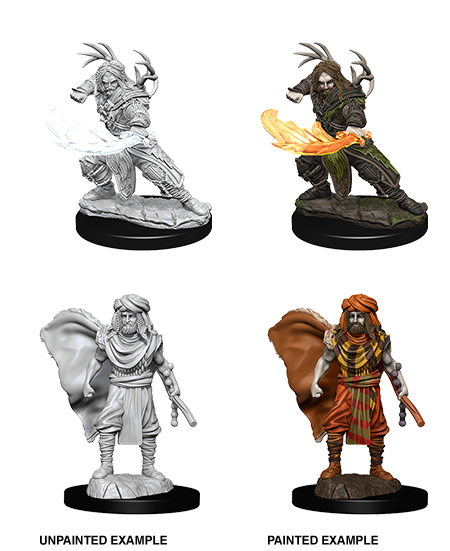 D&D Nolzur's Marvelous Miniatures: Human Druid Minatures Wizkids Games    | Red Claw Gaming
