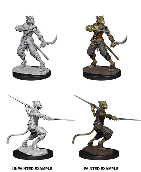 D&D Nolzur's Marvelous Miniatures: Tabaxi Rogue Minatures Wizkids Games    | Red Claw Gaming