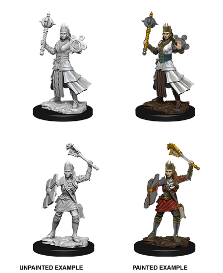 D&D Nolzur's Marvelous Miniatures: Human Cleric Minatures Wizkids Games    | Red Claw Gaming