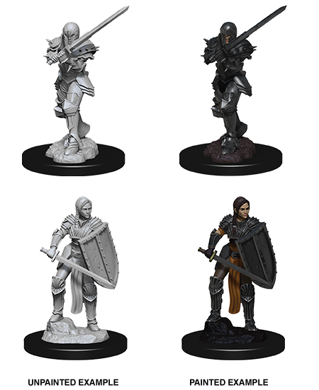 D&D Nolzur's Marvelous Miniatures: Human Fighter Minatures Wizkids Games    | Red Claw Gaming