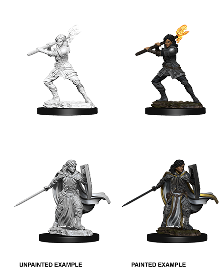 D&D Nolzur's Marvelous Miniatures: Human Paladin Minatures Wizkids Games    | Red Claw Gaming