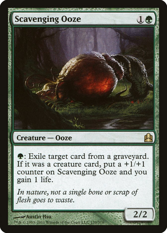 Scavenging Ooze [Commander 2011] MTG Single Magic: The Gathering    | Red Claw Gaming
