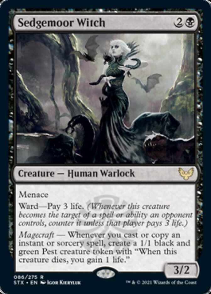 Sedgemoor Witch [Strixhaven: School of Mages] MTG Single Magic: The Gathering    | Red Claw Gaming