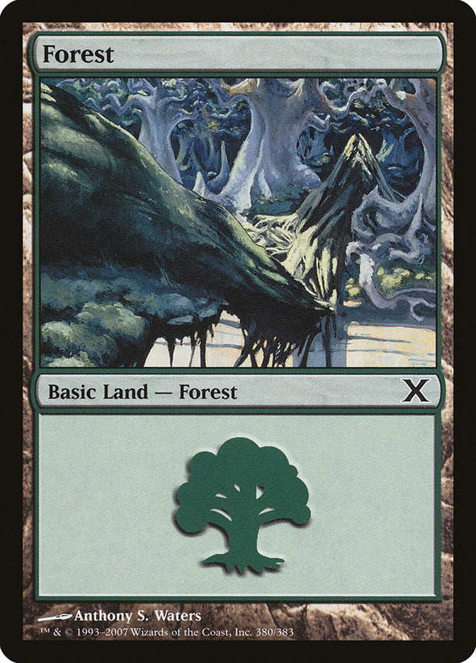 Forest (380) [Tenth Edition] MTG Single Magic: The Gathering    | Red Claw Gaming