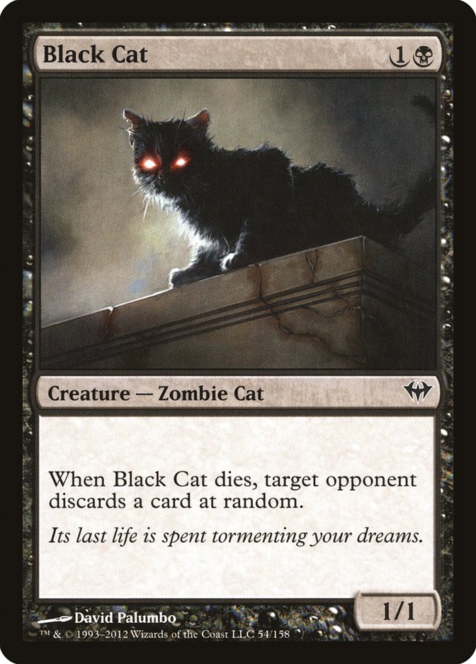 Black Cat [Dark Ascension] MTG Single Magic: The Gathering    | Red Claw Gaming