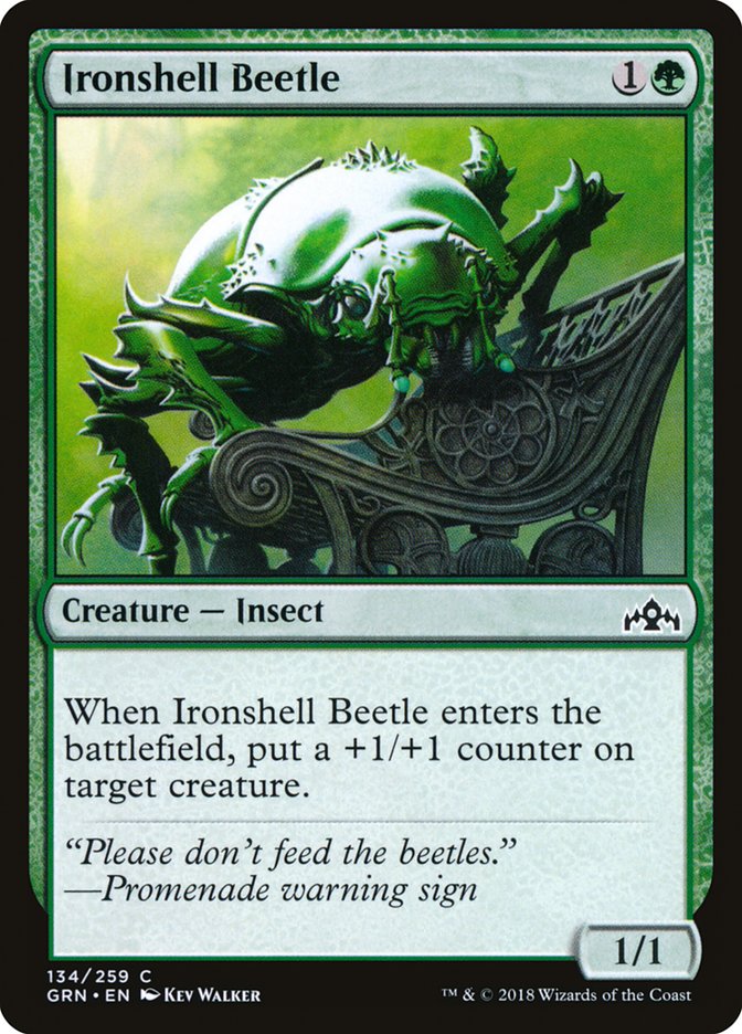 Ironshell Beetle [Guilds of Ravnica] MTG Single Magic: The Gathering    | Red Claw Gaming
