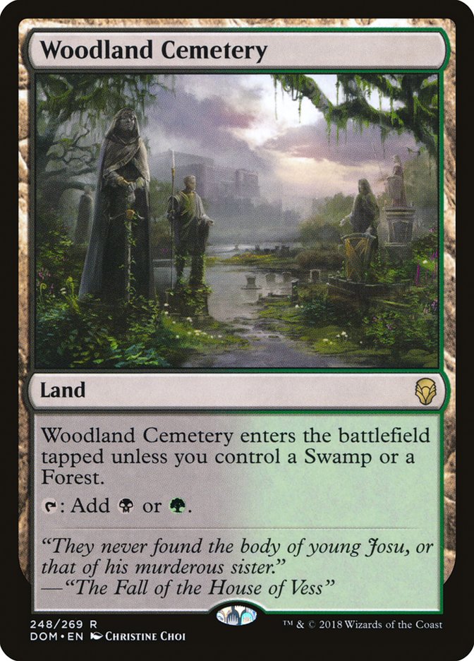 Woodland Cemetery [Dominaria] MTG Single Magic: The Gathering    | Red Claw Gaming