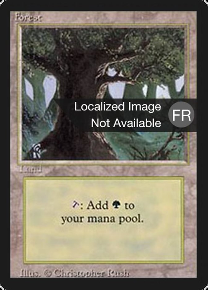 Forest (A) [Foreign Black Border] MTG Single Magic: The Gathering    | Red Claw Gaming