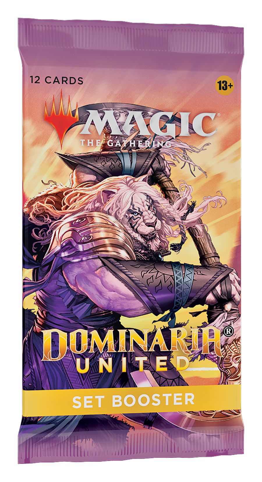 Dominaria United Set Booster Pack Sealed Magic the Gathering Wizards of the Coast    | Red Claw Gaming