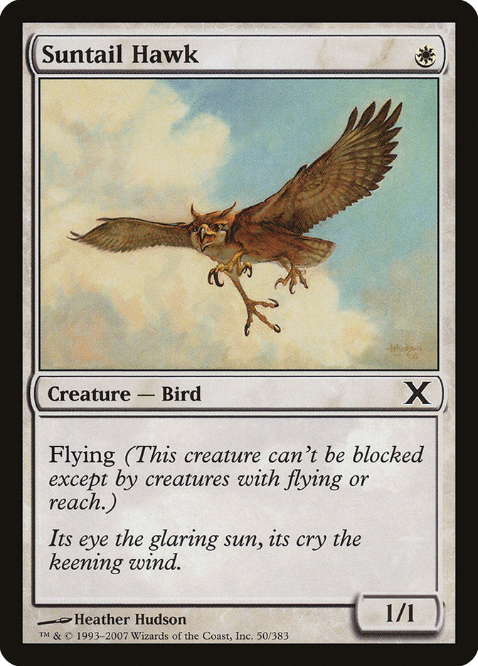 Suntail Hawk [Tenth Edition] MTG Single Magic: The Gathering    | Red Claw Gaming