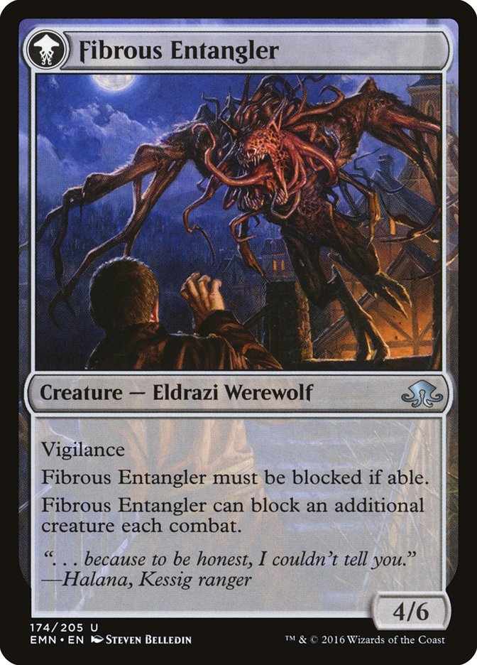 Tangleclaw Werewolf // Fibrous Entangler [Eldritch Moon] MTG Single Magic: The Gathering    | Red Claw Gaming