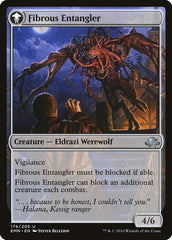 Tangleclaw Werewolf // Fibrous Entangler [Eldritch Moon] MTG Single Magic: The Gathering    | Red Claw Gaming