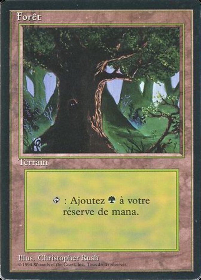 Forest (C) [Foreign Black Border] MTG Single Magic: The Gathering    | Red Claw Gaming