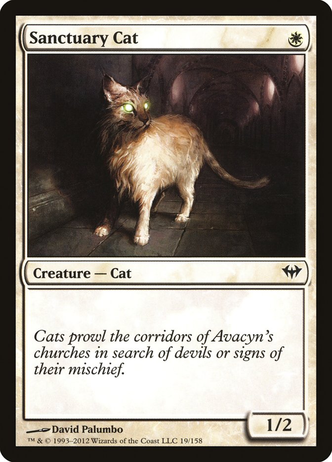 Sanctuary Cat [Dark Ascension] MTG Single Magic: The Gathering    | Red Claw Gaming