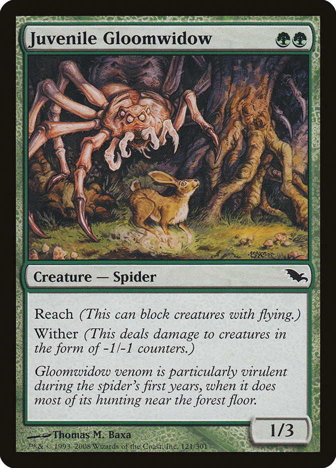 Juvenile Gloomwidow [Shadowmoor] MTG Single Magic: The Gathering    | Red Claw Gaming