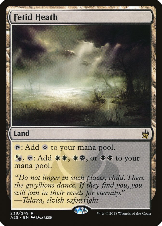 Fetid Heath [Masters 25] MTG Single Magic: The Gathering    | Red Claw Gaming