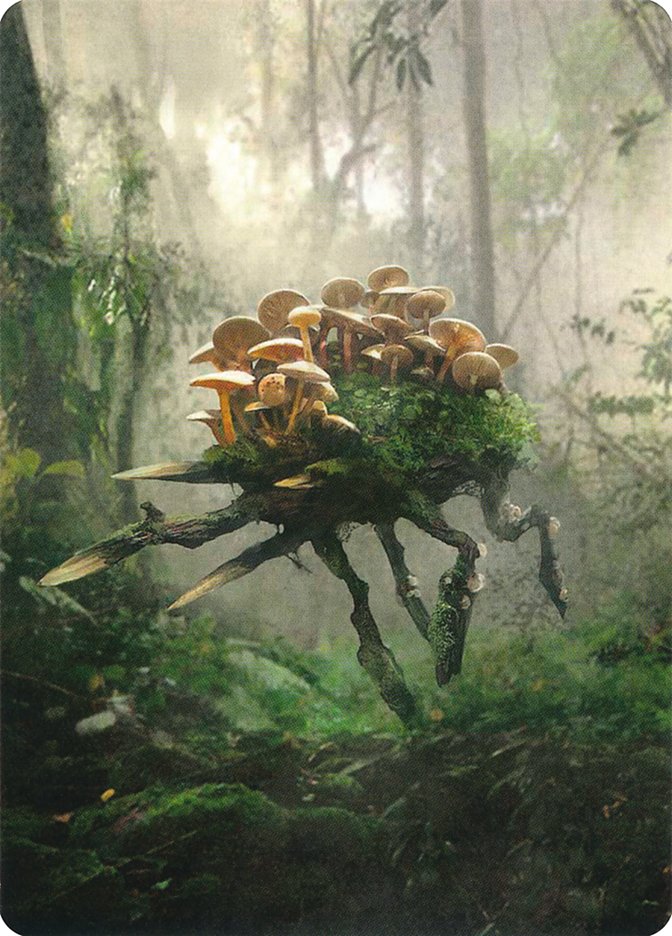 Saproling // Saproling Double-Sided Token [Unstable Tokens] MTG Single Magic: The Gathering    | Red Claw Gaming