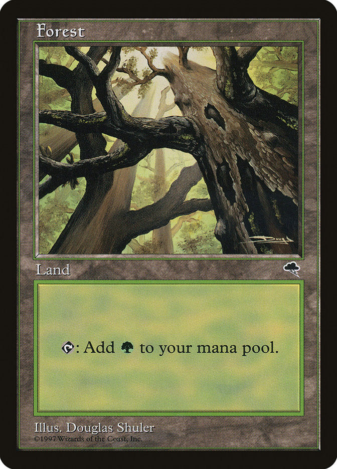 Forest (Looking from Below) [Tempest] MTG Single Magic: The Gathering    | Red Claw Gaming