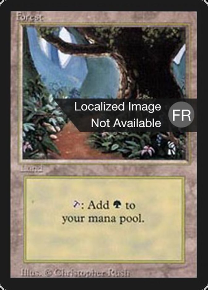 Forest (B) [Foreign Black Border] MTG Single Magic: The Gathering    | Red Claw Gaming