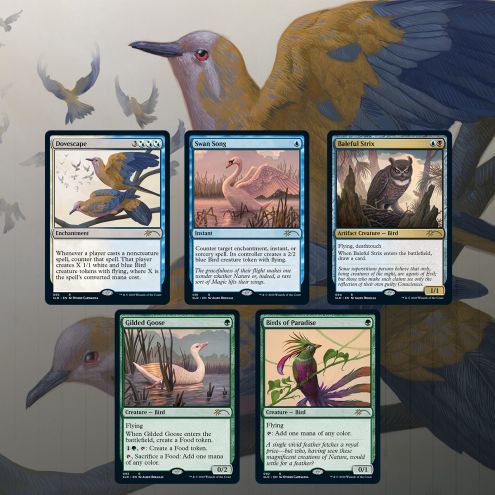 Secret Lair Drop Ornithological Studies Sealed Magic the Gathering Wizards of the Coast    | Red Claw Gaming