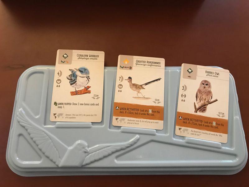 Wingspan with Swift Start Board Games Stonemaier Games    | Red Claw Gaming