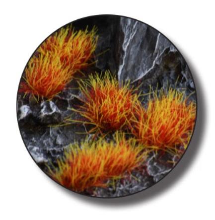 Alien Fire Tuft 6mm Gamers Grass Gamers Grass    | Red Claw Gaming