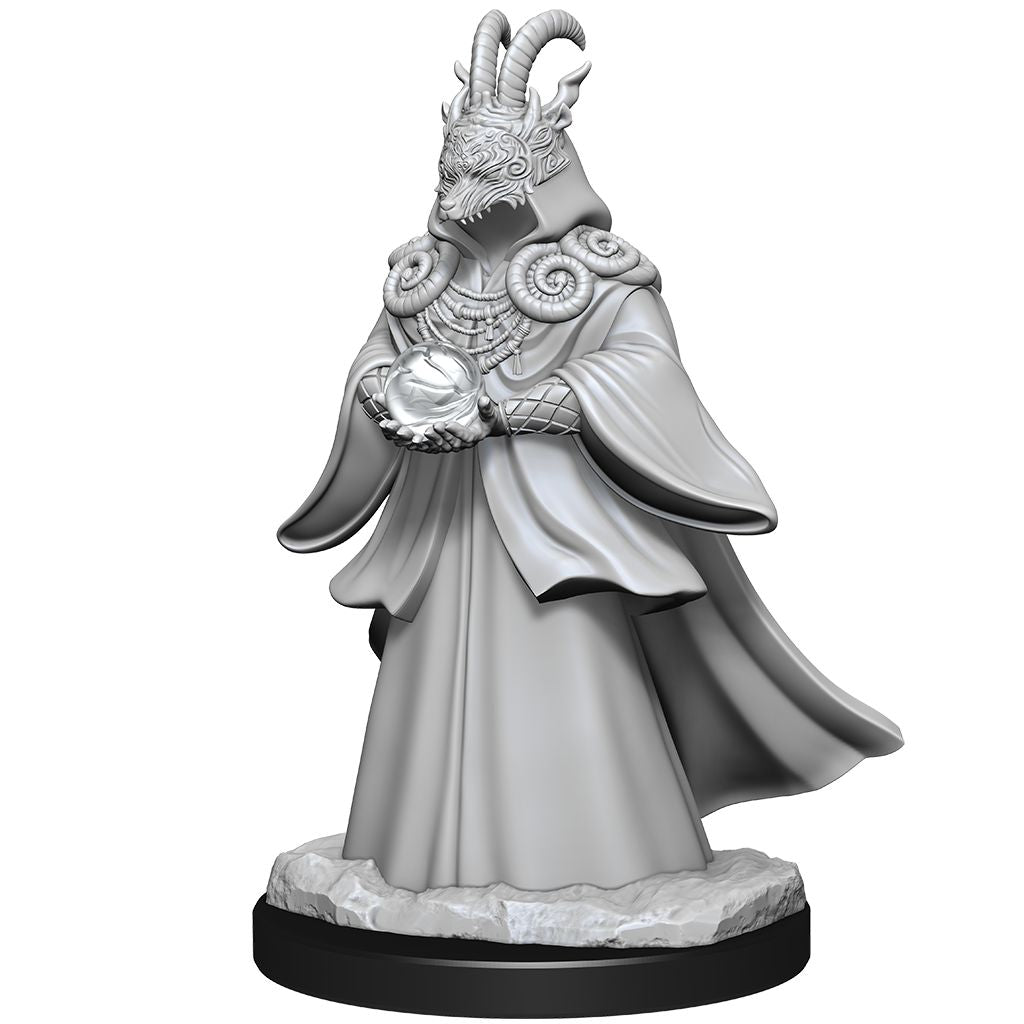Magic the Gathering Unpainted Miniatures: Shapeshifters Minatures Wizkids Games    | Red Claw Gaming