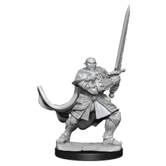 D&D Nolzur's Marvelous Miniatures: Half-Orc Paladin Minatures Wizkids Games    | Red Claw Gaming