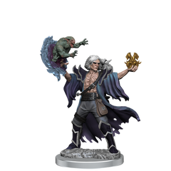 D&D FRAMEWORKS: HUMAN WARLOCK  Wizkids Games    | Red Claw Gaming